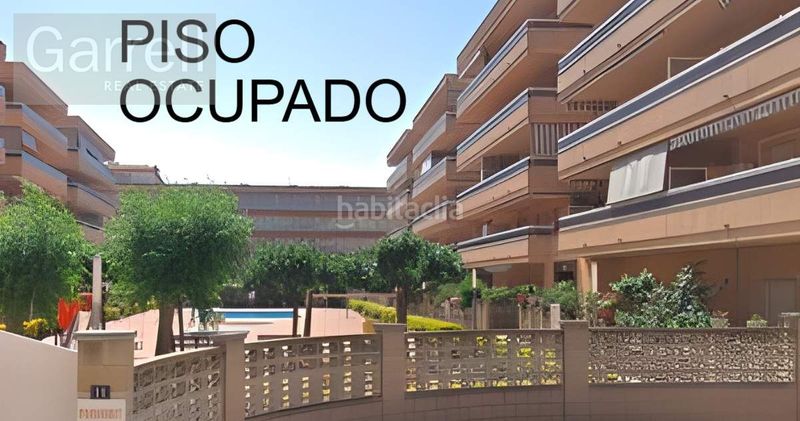 Foto 46c12015-1848-4c5c-a249-2cc887abc131. Pis a Els Pins Blanes