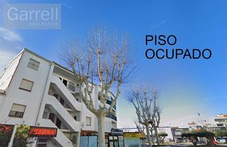 Piso  Sc flamicell  es: pl: pt:
 castello d'empuries (girona). Piso ocupado  de 2 habitaciones en castelló dempúries, girona, c