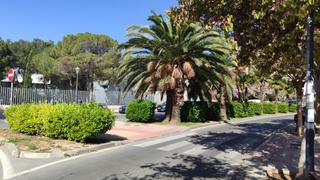 Pis en Florida Baja. Florida babel alicante
