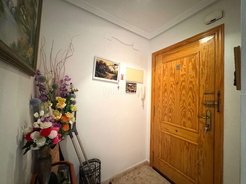 Foto bf008a27-8157-4c8e-b7eb-75a29ae81ef3. Pis a Campello Playa Campello (el)