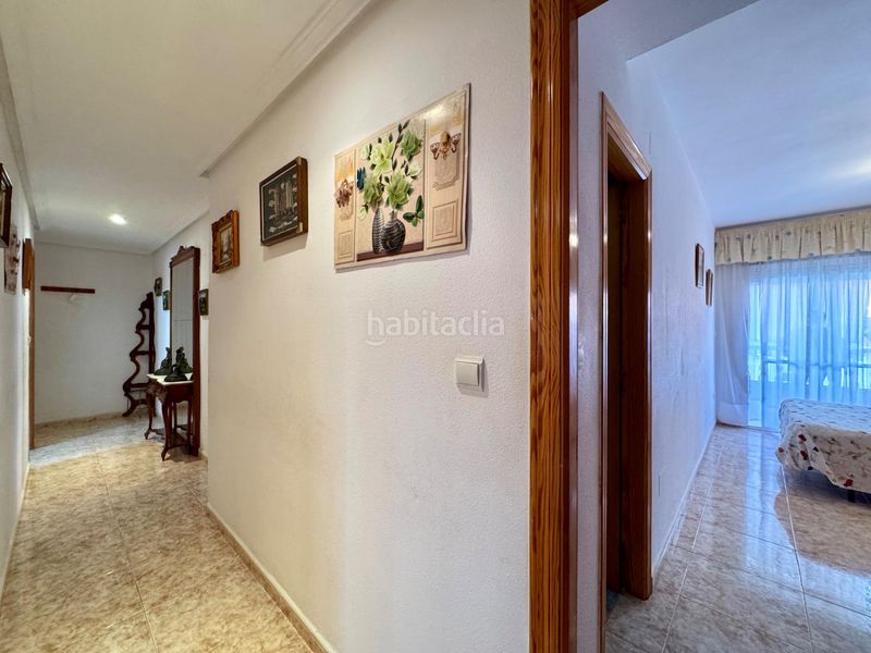 Foto ff5bc5cf-e695-408f-ba4e-81464a1aea32. Pis a Campello Playa Campello (el)