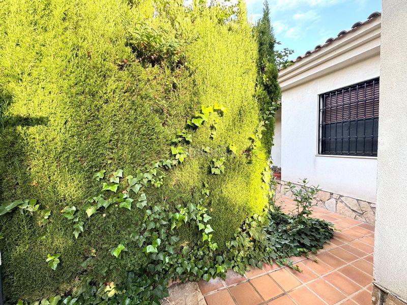 Foto b924b825-586d-4665-97cf-58f48e58b1c9. Xalet amb aparcament piscina a La Huerta Mutxamel