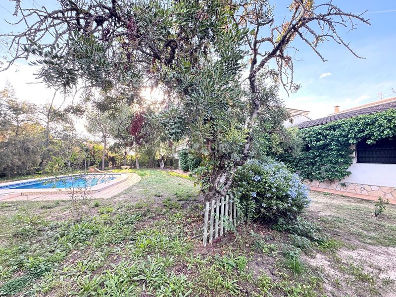 Foto fa93bbe3-19b7-4e72-a476-45da7478dd72. Xalet amb aparcament piscina a La Huerta Mutxamel