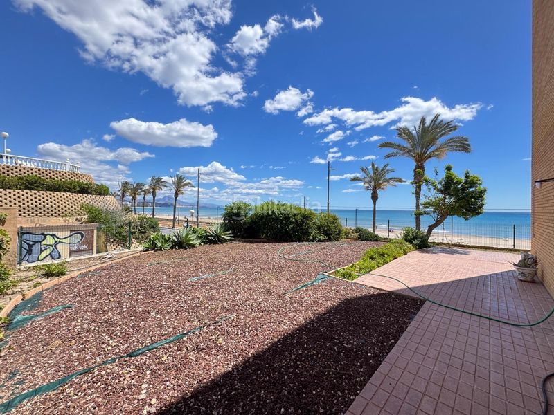 Foto cee2dc68-8026-4641-bbac-1a9c3014962e. Planta baixa amb aparcament piscina a Playa Muchavista Campello (el)