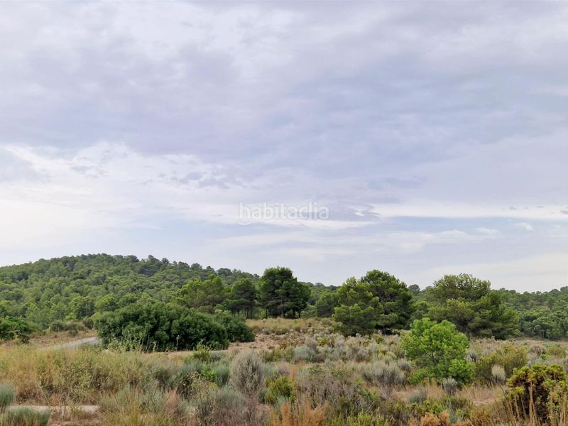 Foto f3b80cd1-d31f-406a-952a-57b9af10b7aa. Casa adossada amb calefacció a Tibi