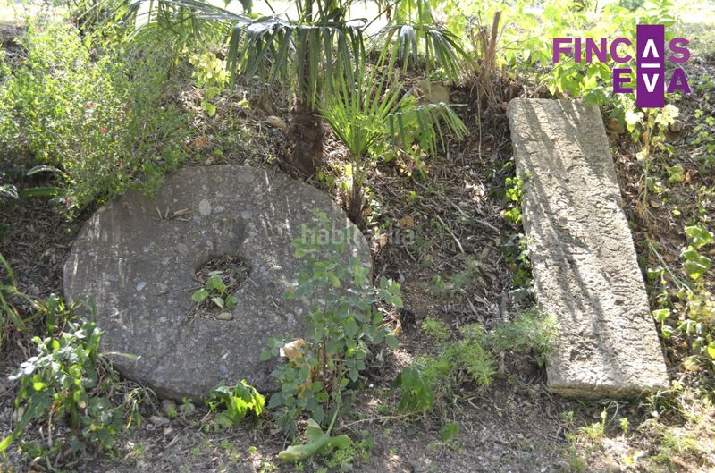 Foto d0db9efc-0672-4e5e-99f2-cce9a585265e. Casa amb calefacció a Borrassà