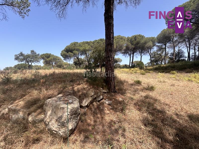 Foto 249387e9-c164-435f-ac4a-9ec5bf14e706. Terreno residencial magnifico terreno en Vallromanes