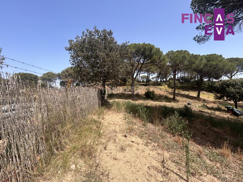 Foto 3efdde48-b0c9-4ebf-9324-0cf3c82d9da7. Terreno residencial magnifico terreno en Vallromanes