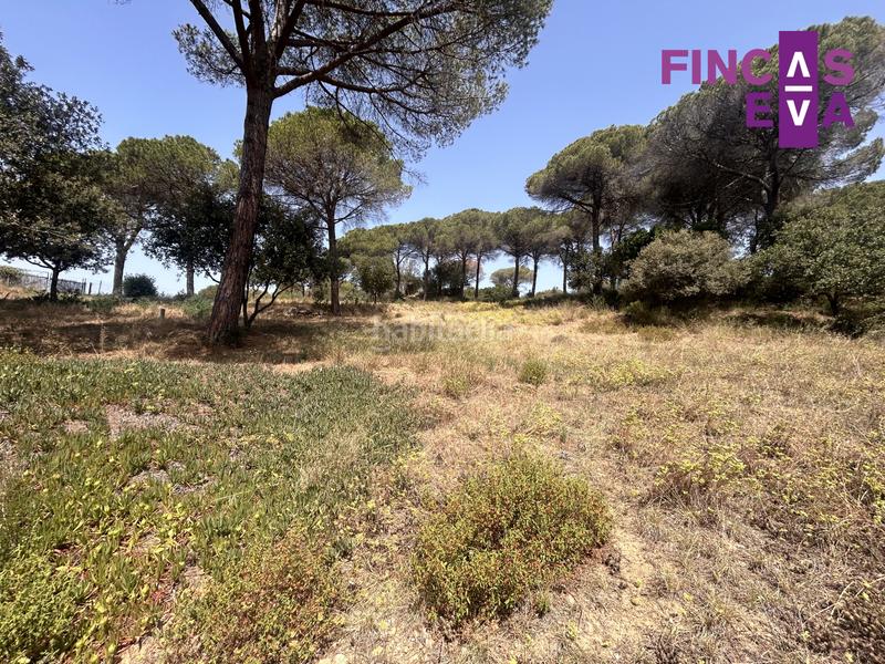 Foto 6f0ca5c7-1ff6-44bc-9db6-9df0df08e1ce. Terreno residencial magnifico terreno en Vallromanes