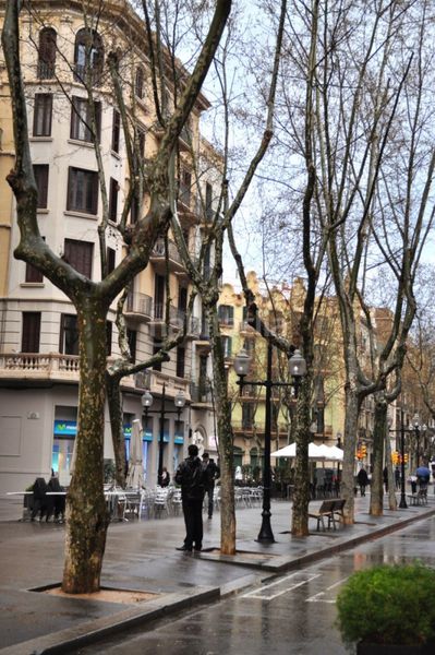 Foto f4d35be2-bd38-4d81-9f17-0f25f0f5830b. Pis a Poblenou Barcelona
