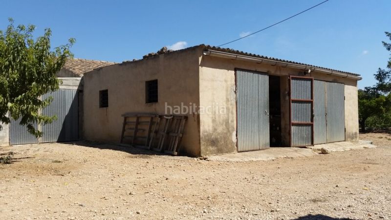 Foto 35b1599b-d955-4452-9908-24c0dd355c79. Finca rústica a Jesús - Els Reguers Tortosa