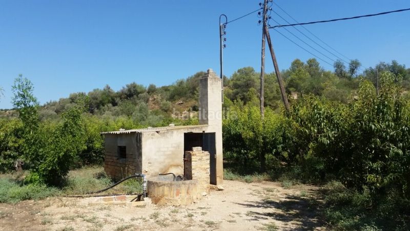 Foto 73205d99-8504-45fe-8688-4e9e8c213f13. Finca rústica a Jesús - Els Reguers Tortosa