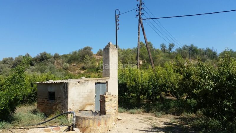 Foto 957f23b3-b0e4-43b5-b62a-c53ca1cb4343. Finca rústica a Jesús - Els Reguers Tortosa