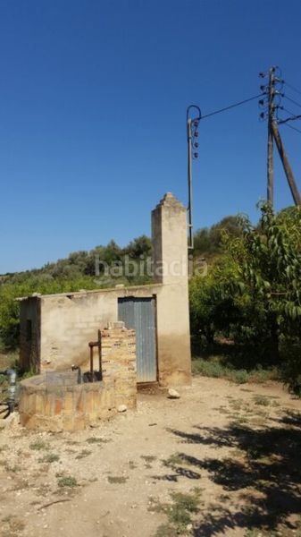 Foto b90e1270-91c6-483d-b1d7-8c5f3db0fd2f. Finca rústica a Jesús - Els Reguers Tortosa