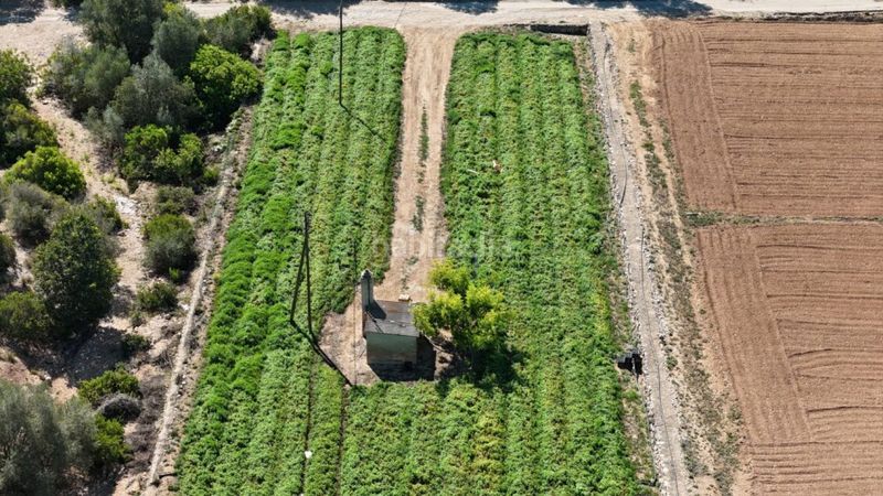 Foto e380f624-db62-4862-a88b-58bb3e9c9edf. Finca rústica a Jesús - Els Reguers Tortosa