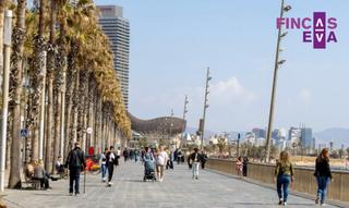 Geschäftsraum in Barceloneta. Local con alta rentabilidad