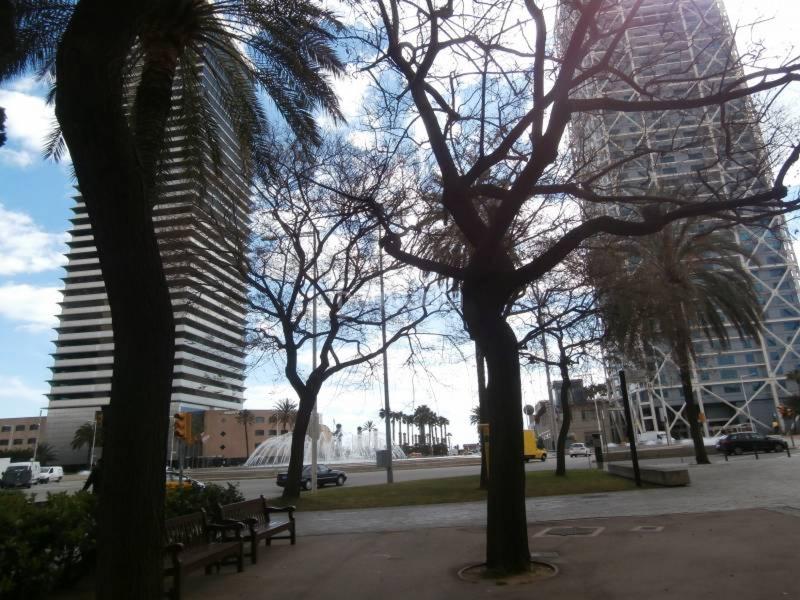 Foto d2f9a3b8-20c0-4c8a-9a93-1f1474b3b84e. Local commercial dans La Vila Olímpica del Poblenou Barcelona