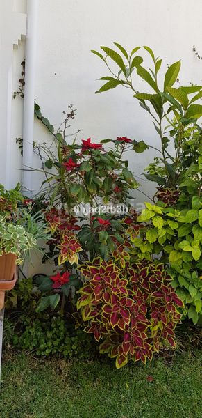 Foto c04938a7-0587-440c-be58-7e584540348e. Casa amb aparcament piscina a La Concha - Resina Golf Estepona