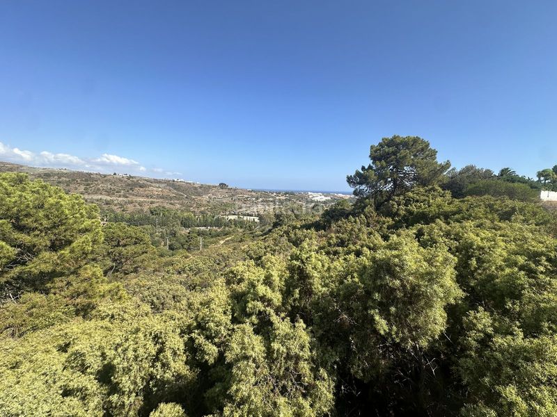 Foto 1843b1c1-3c5e-4ca9-9956-0c6584794606. Finca rústica a Benahavís pueblo Benahavís