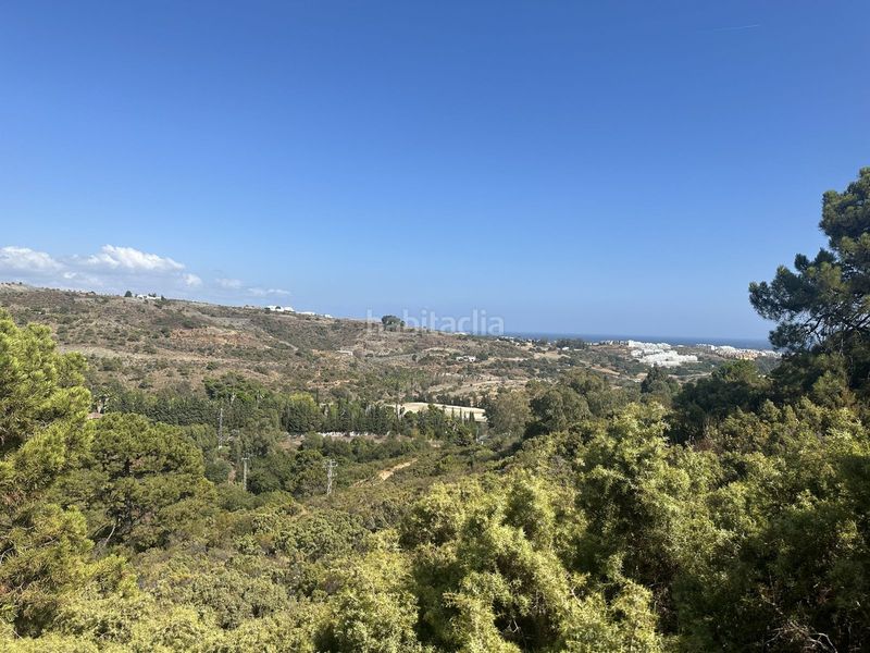 Foto f5b098b2-8793-4ddb-98de-0bfb88e9094c. Finca rústica a Benahavís pueblo Benahavís