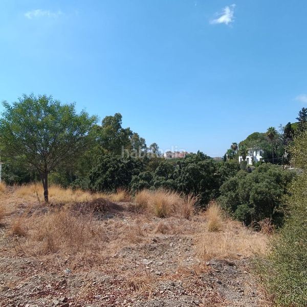 Foto efacbf19-47e0-4635-b7f8-d5aad4680065. Finca rústica a Santa María Marbella