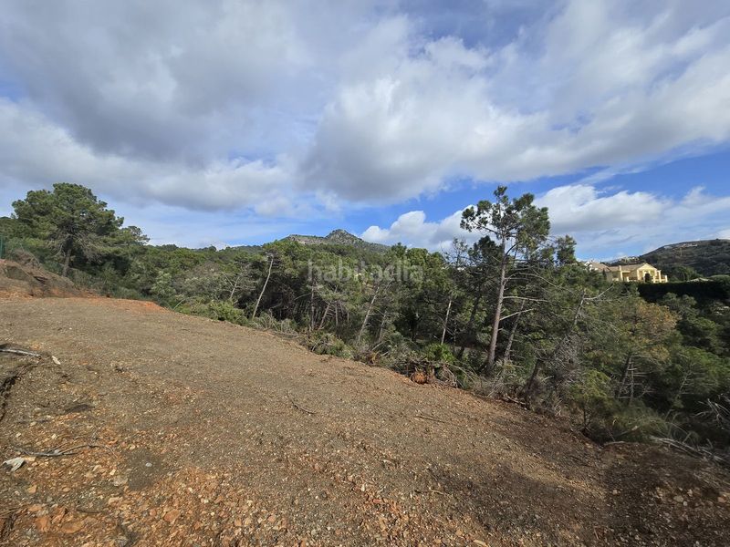 Foto 10ebdecb-15c2-4071-8a48-20a968abbbdc. Finca rústica a Montemayor - Marbella Club Benahavís