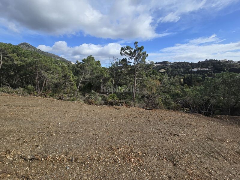 Foto 42ed0f25-09dd-4427-91a9-1291958ad71e. Finca rústica a Montemayor - Marbella Club Benahavís