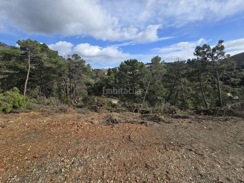 Foto 9de6d499-a8ee-4086-b9f1-4e852822059a. Finca rústica a Montemayor - Marbella Club Benahavís