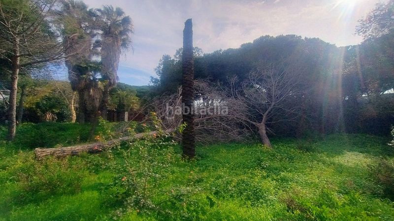Foto 3b3ba195-dfb4-4b56-b509-8b335e94c818. Finca rústica a Elviria Marbella