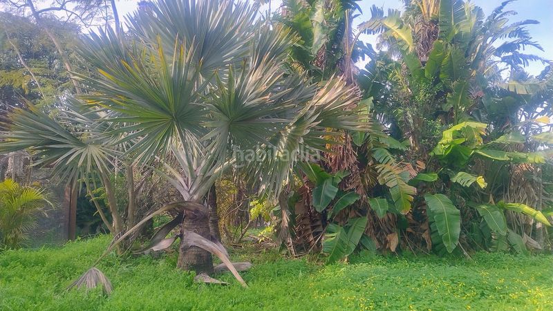 Foto 4cda9381-ffaa-4098-82a1-98acd7f61d98. Finca rústica a Elviria Marbella