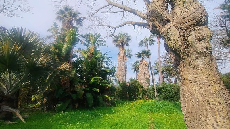 Foto c3b8d4b4-2a16-4fbf-8168-1975ebf873b3. Finca rústica a Elviria Marbella