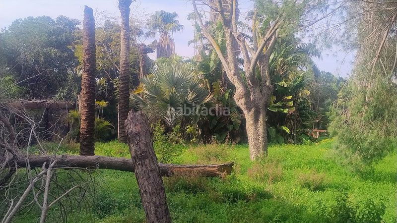 Foto d7d622b6-3165-4d84-843a-1f11397301b8. Finca rústica a Elviria Marbella