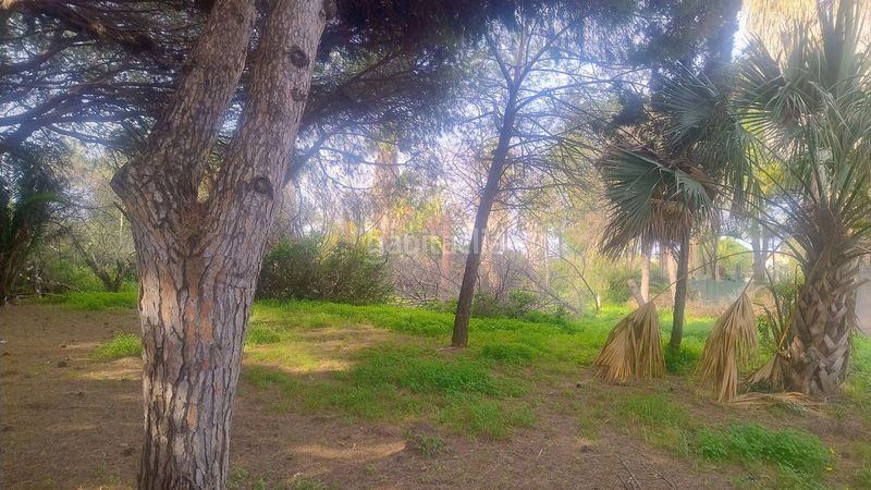 Foto e88ef6fe-55fa-4ade-94f0-0d3fc6f7e091. Finca rústica a Elviria Marbella