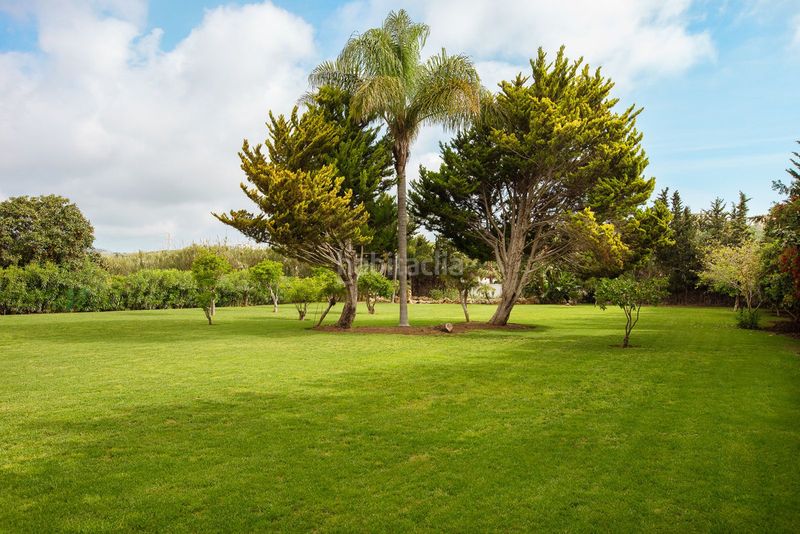 Foto e920a460-e733-4c31-b4ad-9613682647ab. Finca rústica a Manilva pueblo Manilva