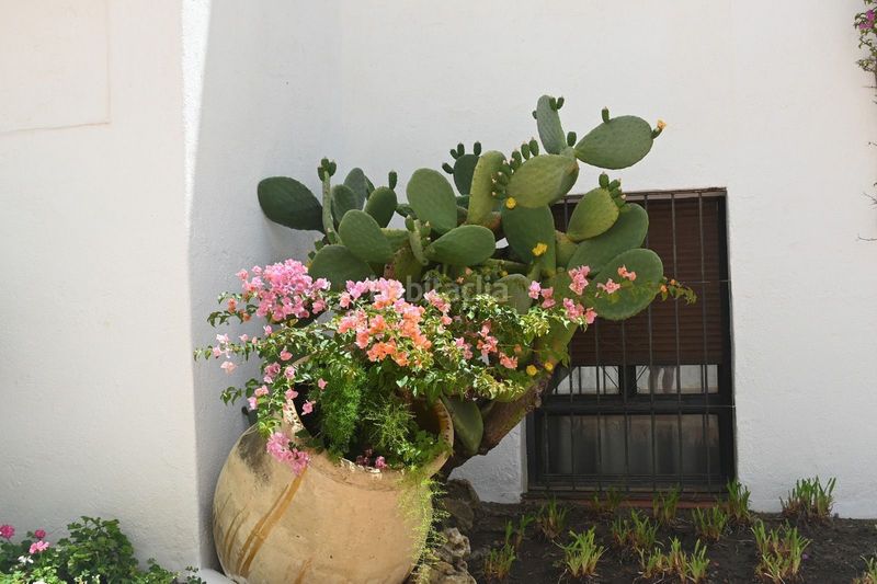 Foto 0a102406-442f-4782-8aff-9a2c6cc584cb. Piso apartamento en planta baja totalmente reformado en aloha gardens ? nueva andalucía ubicado en la prestigiosa urbanización aloha ga en Marbella