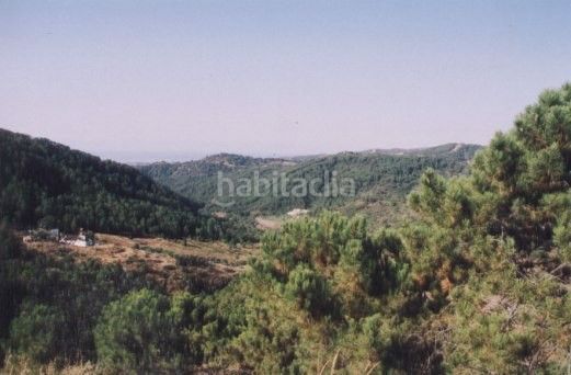 Foto 75e3f4a5-a77b-47d2-a831-ea24d0af8c70. Finca rústica a Los Llanos Estepona