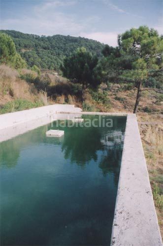 Foto b8a9b69a-d6cc-4a8a-a292-38ec0be8a4e7. Finca rústica a Los Llanos Estepona