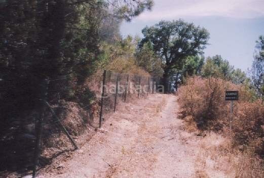 Foto ba82d7cd-b540-49eb-b4cb-a00404ca5b96. Finca rústica a Los Llanos Estepona
