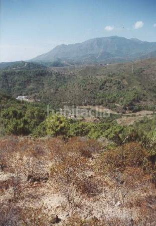 Foto de651d65-d8c9-4397-9d9f-f8a8ca6db3d6. Finca rústica a Los Llanos Estepona