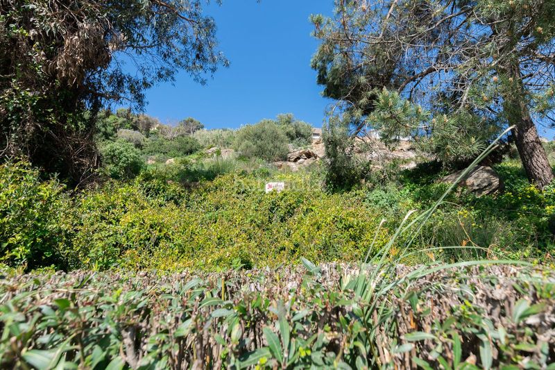 Foto 84d35881-e5a5-410d-b99a-2cb6c060308b. Finca rústica a San Luis de Sabinillas Manilva