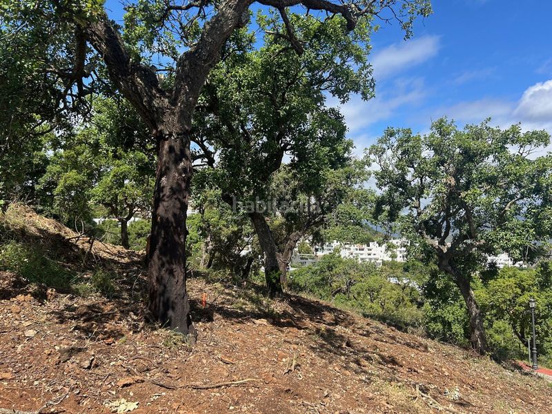 Foto 97a0e9d0-0a21-47be-a892-3a1033d6925e. Finca rústica a La Mairena Ojén