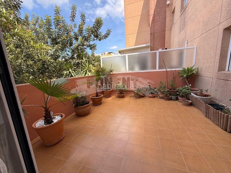 Foto 3e9d54e5-fa8a-4a3c-a72d-6d386b00734a. Planta baixa amb aparcament piscina a Jesús Santa Eulària