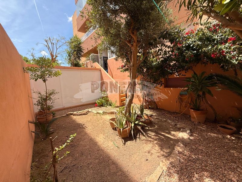 Foto d1a28042-ae70-4e3a-b7ca-3ca71ef9bcda. Planta baixa amb aparcament piscina a Jesús Santa Eulària