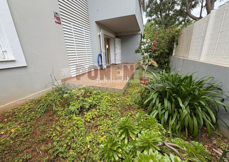 Foto 7caafac6-d562-4869-a944-63489f137f2f. Planta baixa amb aparcament a Ses Figueretes - Platja d'en Bossa - Cas Serres Ibiza