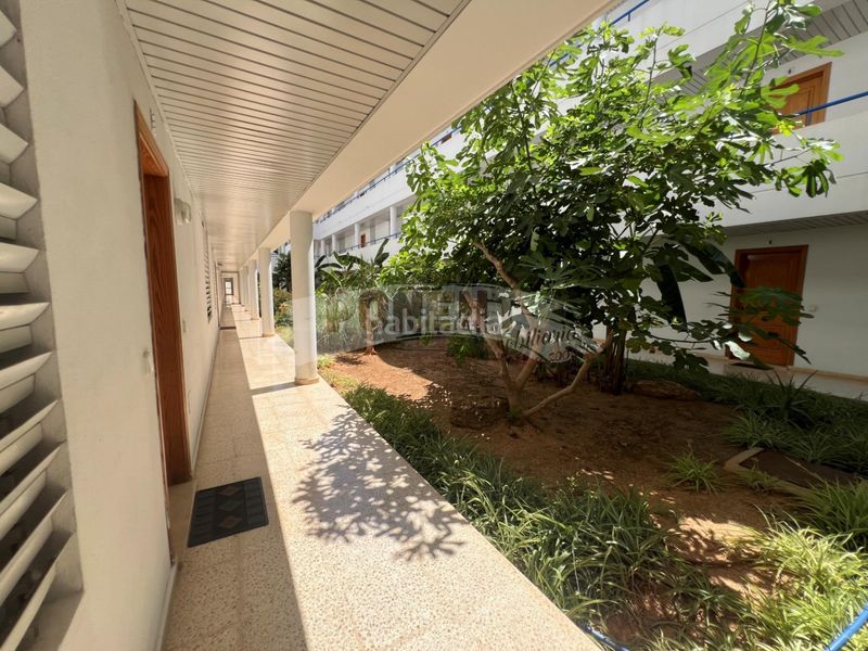 Foto 02a91dbb-b429-467e-a82a-2269dfbf8a44. Apartament amb aparcament a Ses Figueretes - Platja d'en Bossa - Cas Serres Ibiza