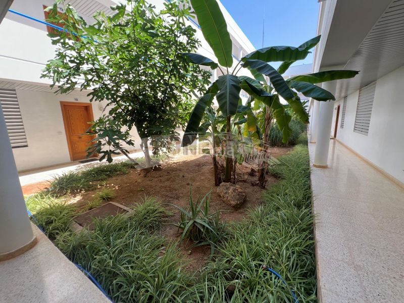 Foto b77a7103-533c-4067-b72a-1577d0ef0913. Apartament amb aparcament a Ses Figueretes - Platja d'en Bossa - Cas Serres Ibiza