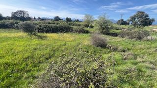 Rural plot in Montesclaros
