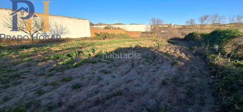 Foto 57e2cb42-26a7-4fa8-8781-172c0b117556. Haus in Carpio de Tajo (El)