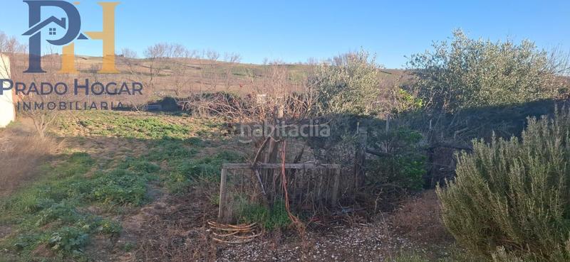 Foto 995a6dfb-97b1-49de-ab46-d9aa97b061e8. Haus in Carpio de Tajo (El)