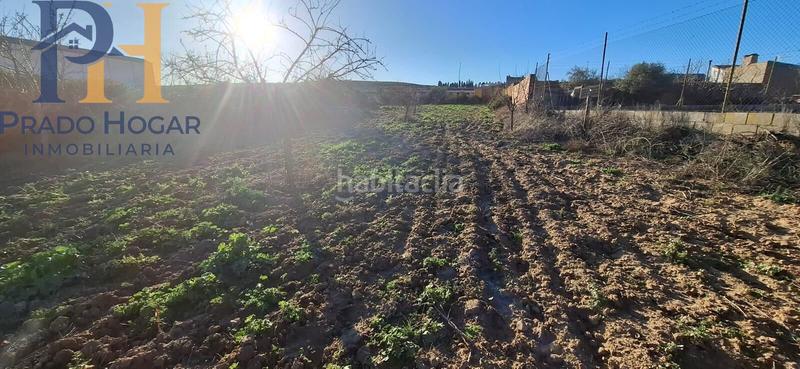 Foto a1db446a-5217-4625-b4d9-7d4e985dafed. Haus in Carpio de Tajo (El)